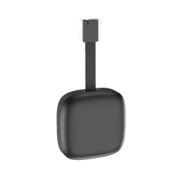 Marstek P1M